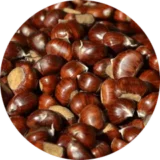 Dağ kestanesi png