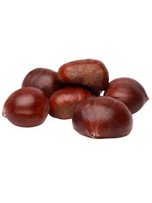 Kestane