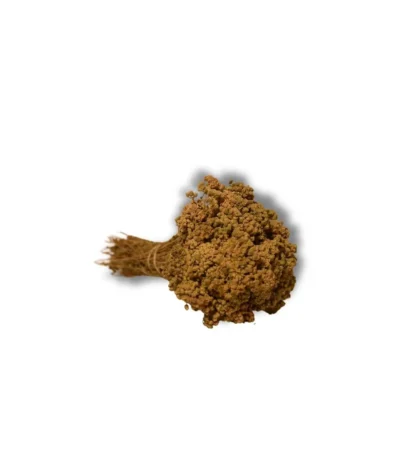 dağ kekiği bilye